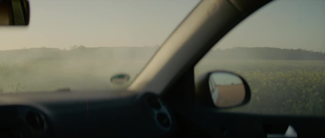A man parks his vehicle near a field of flowers and looks around