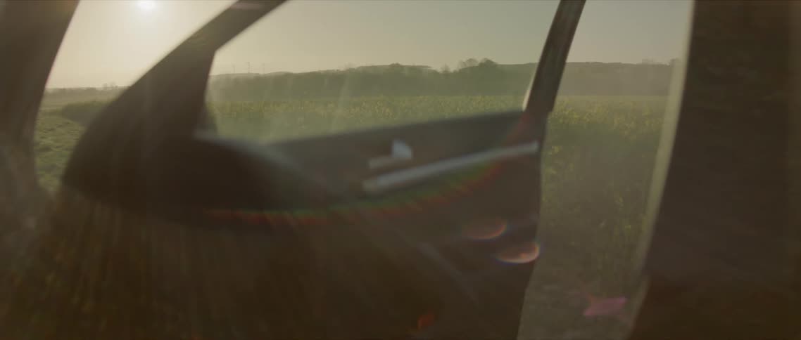 The sun shines and glares down through an open car door in a grassy field