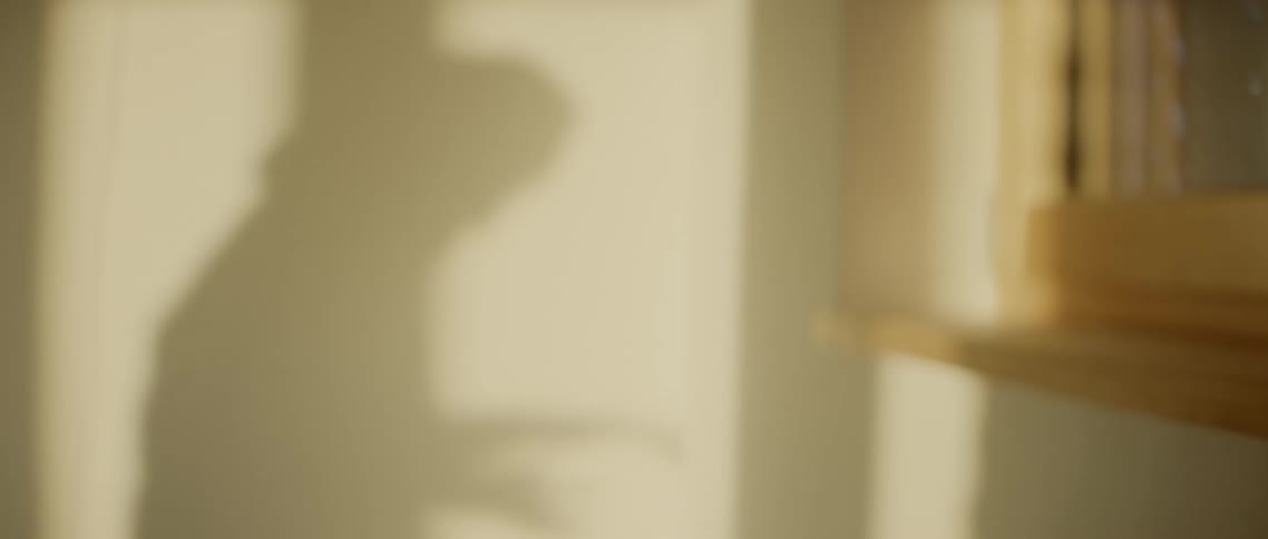 The sunlight casts a shadow of a man wearing headphones and dancing on the inside wall of his apartment