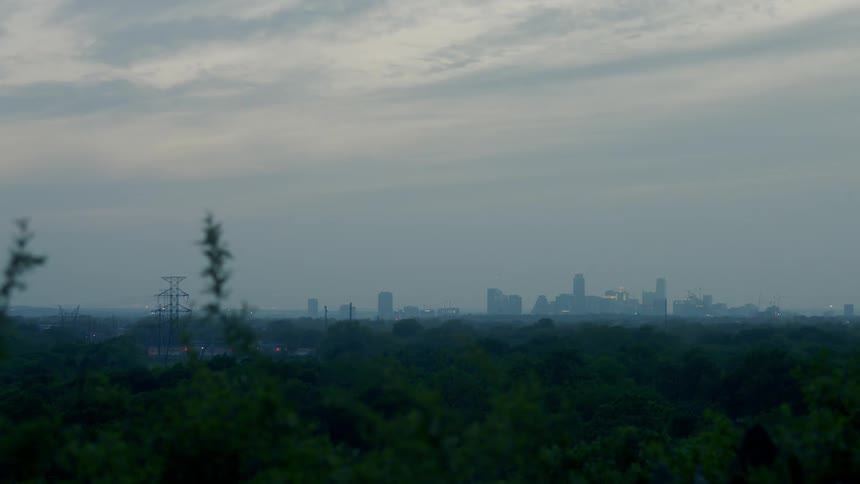 A forest with the city skyline in the background