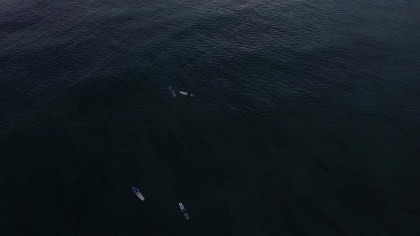 Surfers float on boards in calm water as sun sets