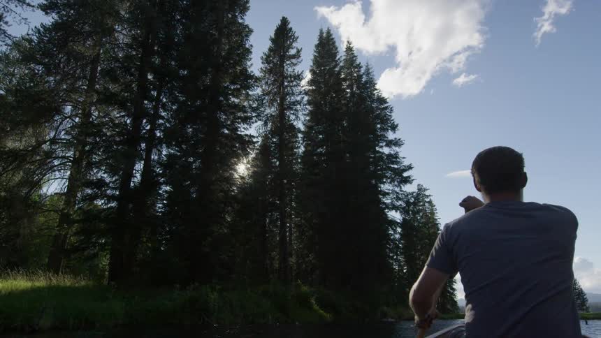 Man canoeing past pine trees