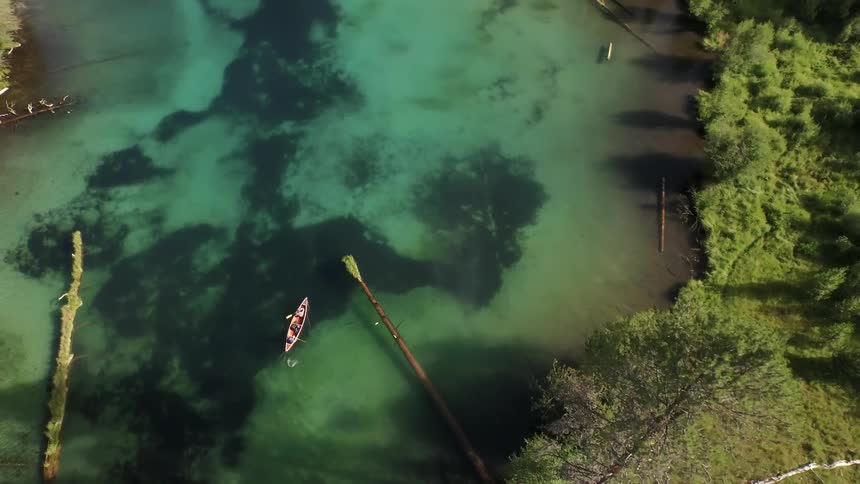 People row a boat on a forest river