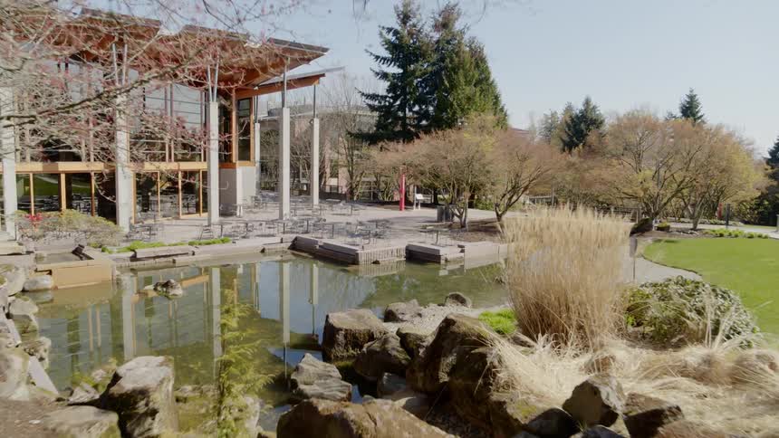 Approaching an outdoor office cafeteria with a dining area decorated with trees, rocks and a pond