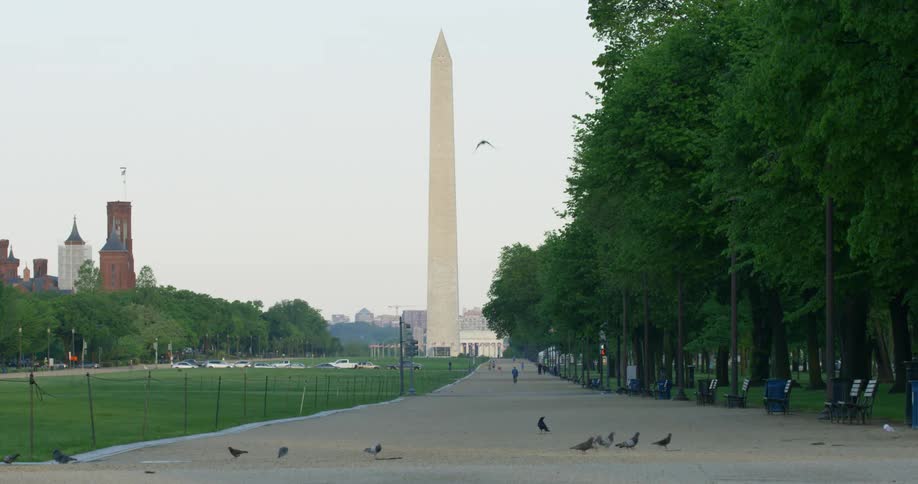 Pigeons walk along pathway leading from washington monument