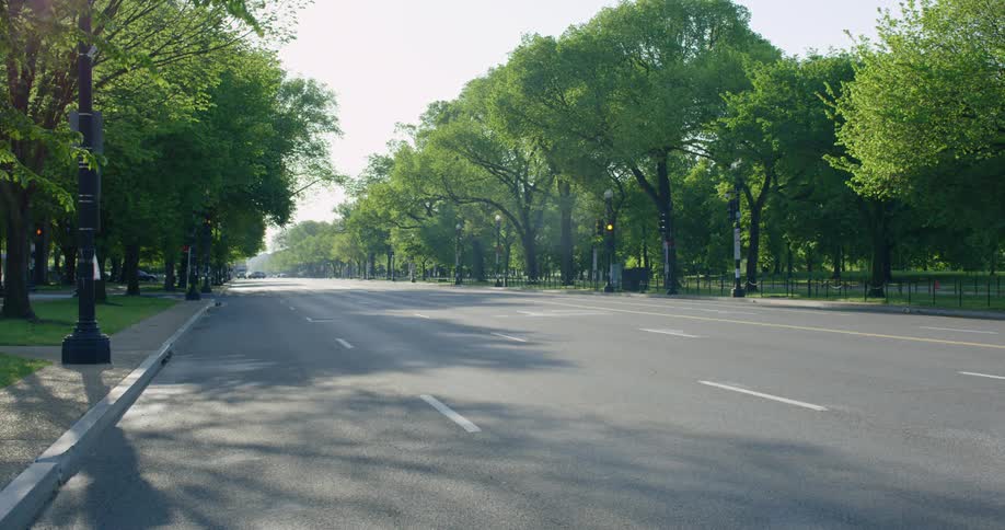 Deserted tree lined street during pandemic