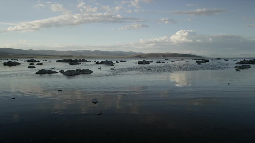 Birds are floating along the water on a cloudy day