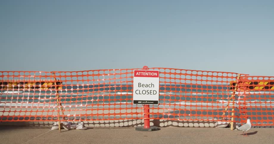 A seagull walks in front of a temporary fence and a beach closed sign while waves come to shore on a sunny day