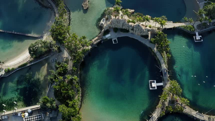Birds eye view of pools at a hotel