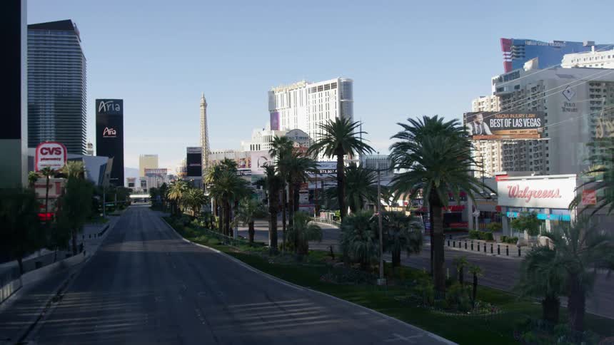 An empty city street with palm trees and buildings in the background