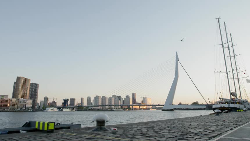 Bird flies along waterfront past moored sailboat across from downtown as the sun tints horizon pink