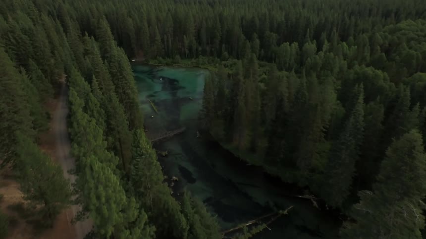 Flying above pine trees and a stream