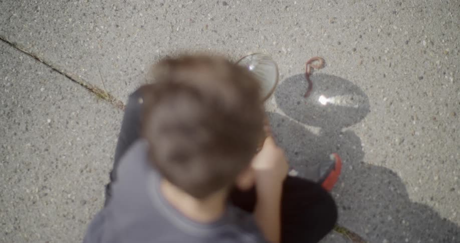 A boy contemplates using a magnifying glass and the sun to burn a worm