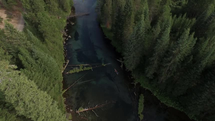 A boat paddles down a river that cuts through a forest