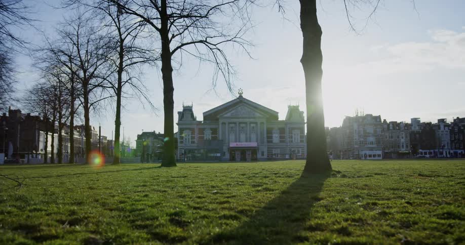 People walk and jog in a grassy park in a city on a sunny day