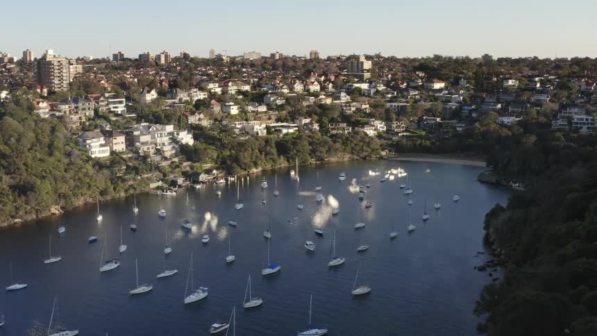 Sailboats fill water in midst of forest and city
