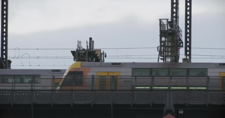 Long and thin trains travels along metal tracks and carries people