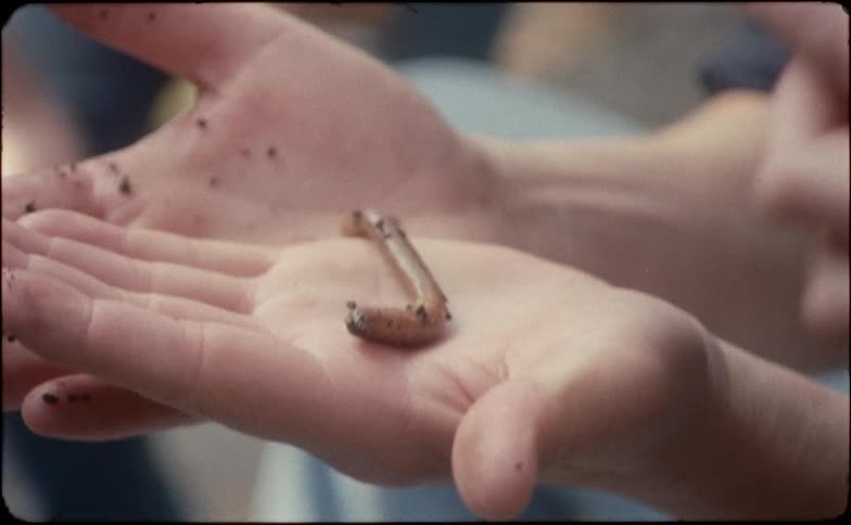 Child holds a worm in its hand and strokes it with a finger