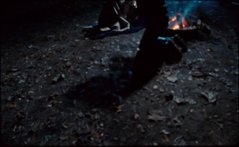 Two people are sitting by a fire