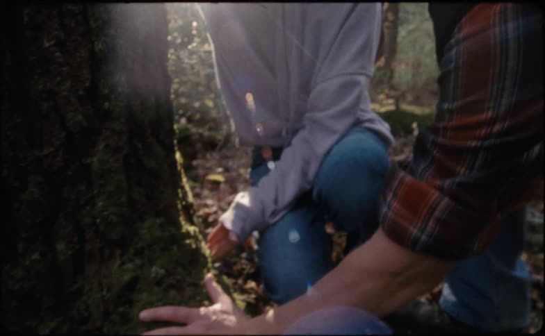Father and daughter examine tree root in forest