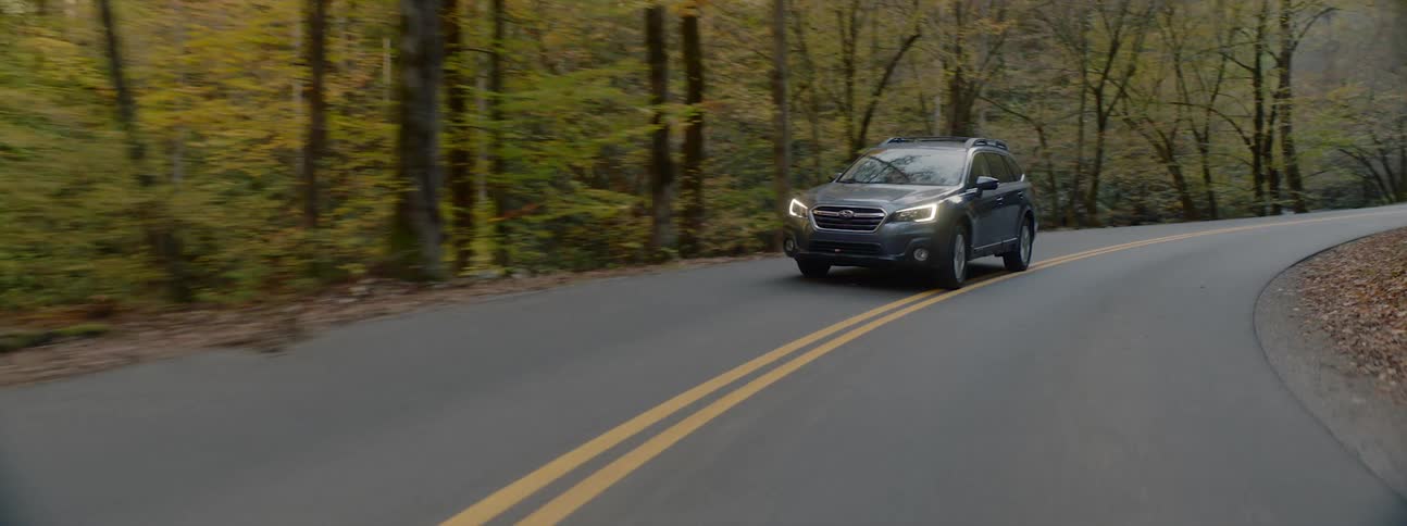 A car traveling do a winding road through a woodland