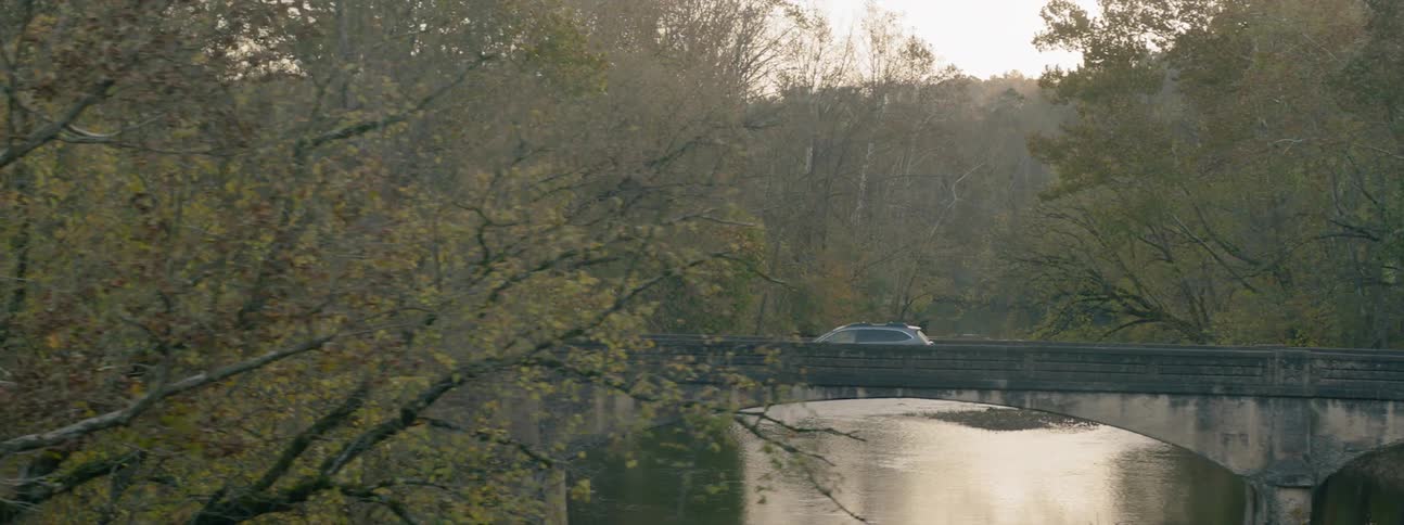 Car crosses the bridge over the river in the forest
