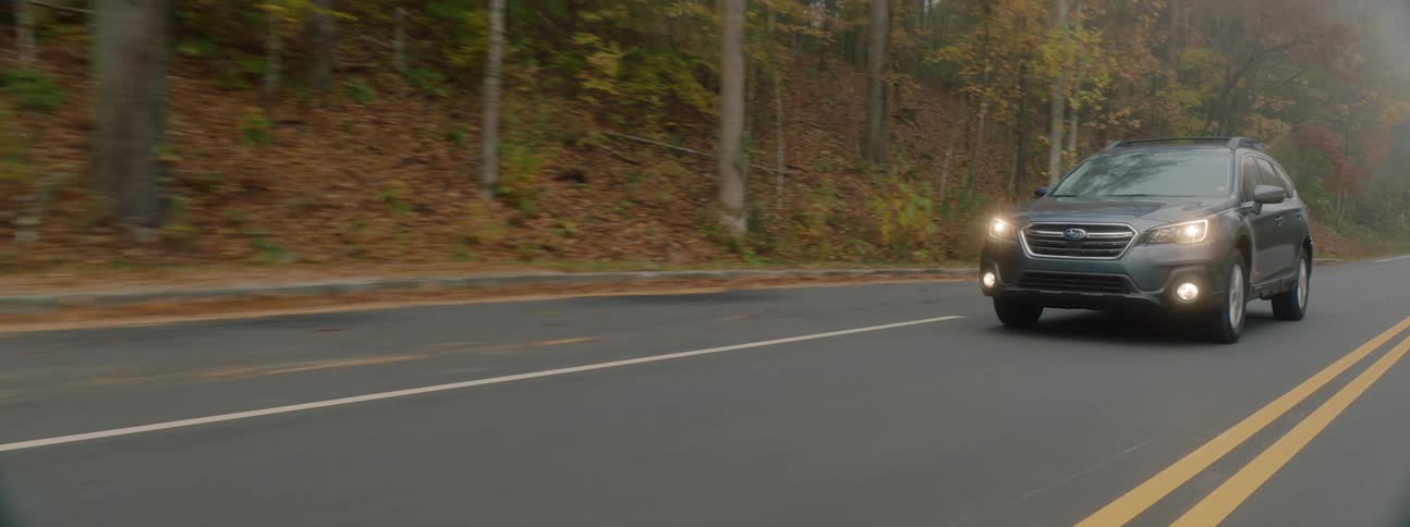 Car drives on the highway next to the fall forest