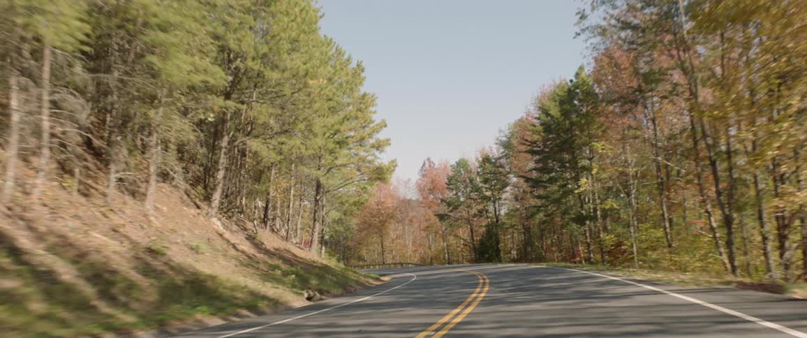 Car drives along forest highway