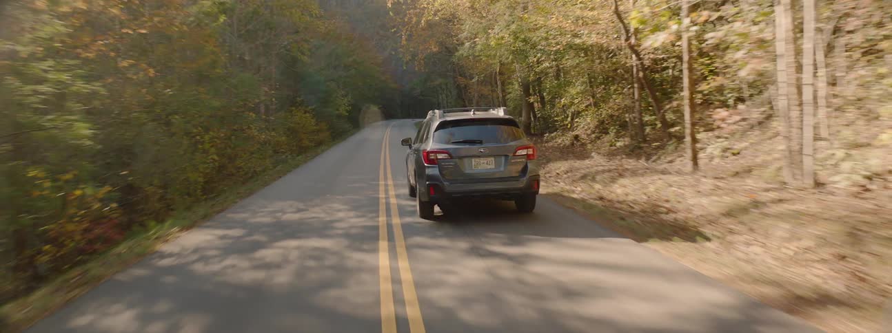 Car driving on a road through the forest