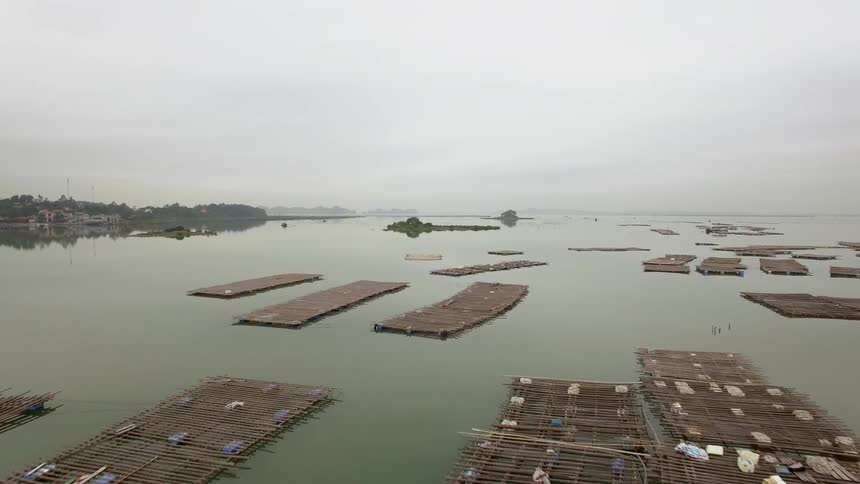 Rafts built for mussel aquaculture float on the surface of the water