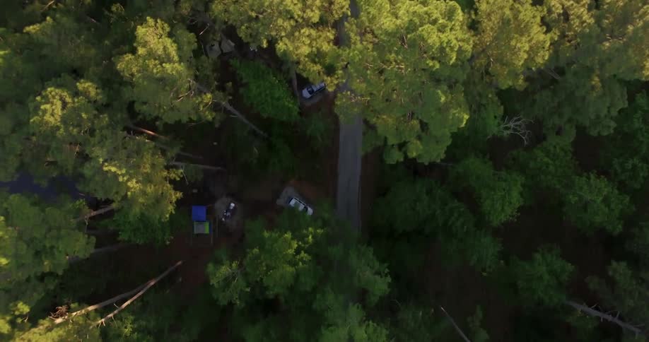 Aerial view of a truck driving through a forest