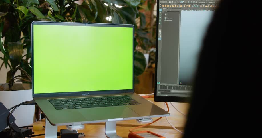 Laptop sits on stand next to monitor and houseplants on desk