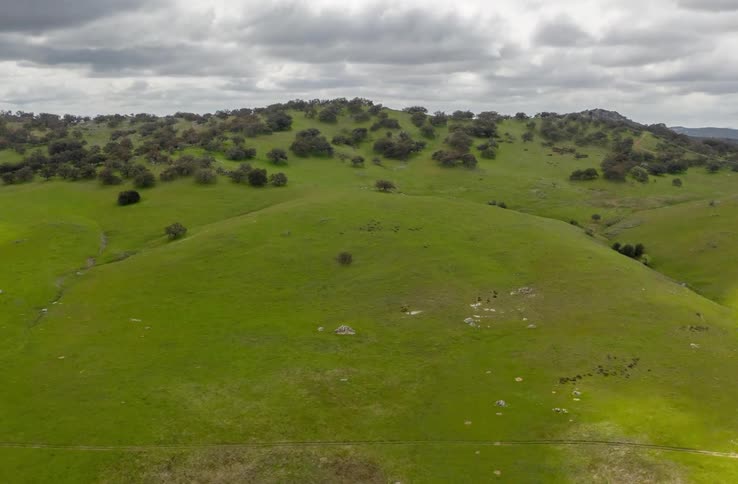 A grassy plain with hills and trees and the sky up above