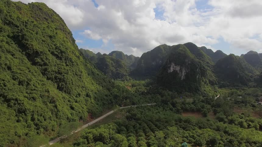 A road between a mountain covered in vegetation and a forest