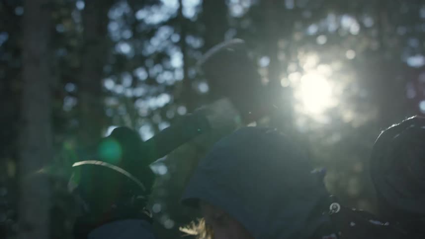 Man chops wood with an ax in the forest
