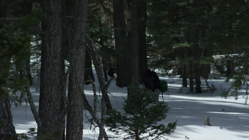 Hiker walking through the snow in the middle of the forest