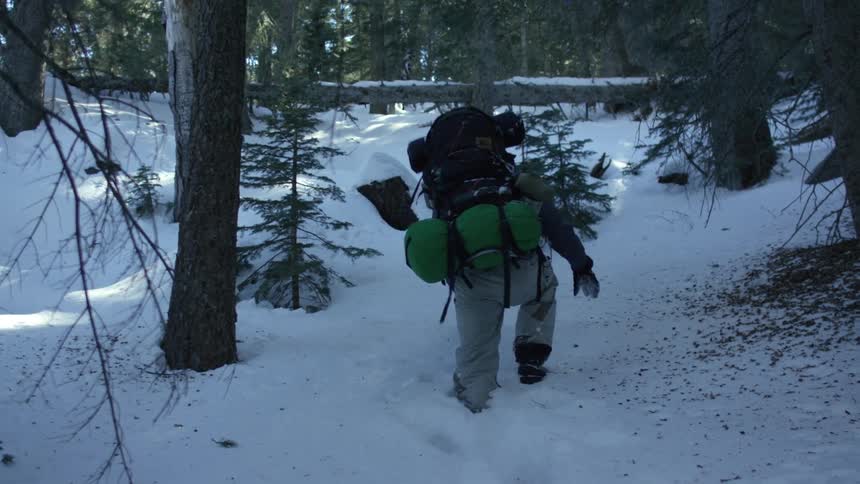 Man goes uphill on the snow covered forest