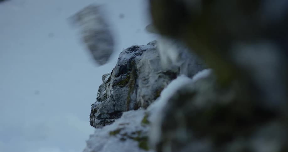 Rocks falling from a snow covered cliff