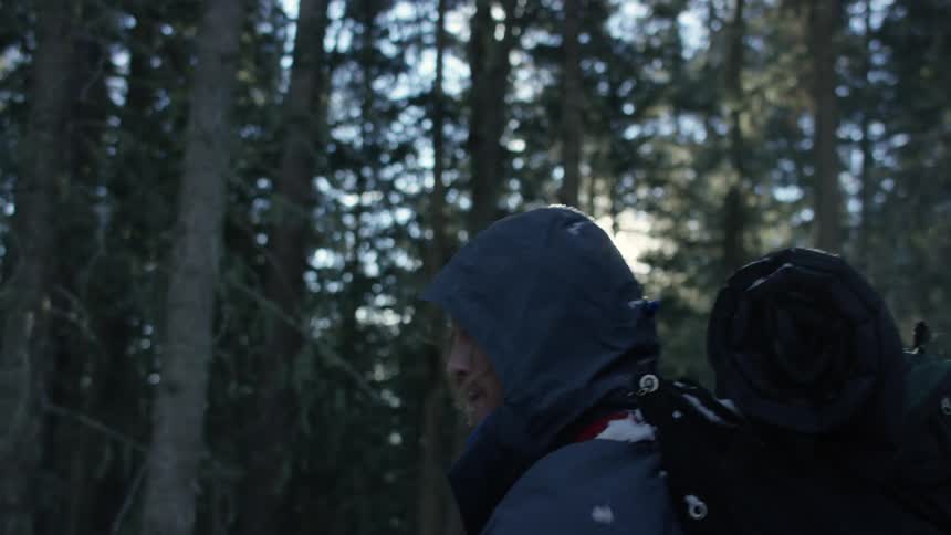 Person wearing hooded jacket uses an ax in forest