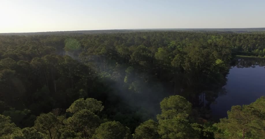 Aerial view of a small lake in between a dense forest