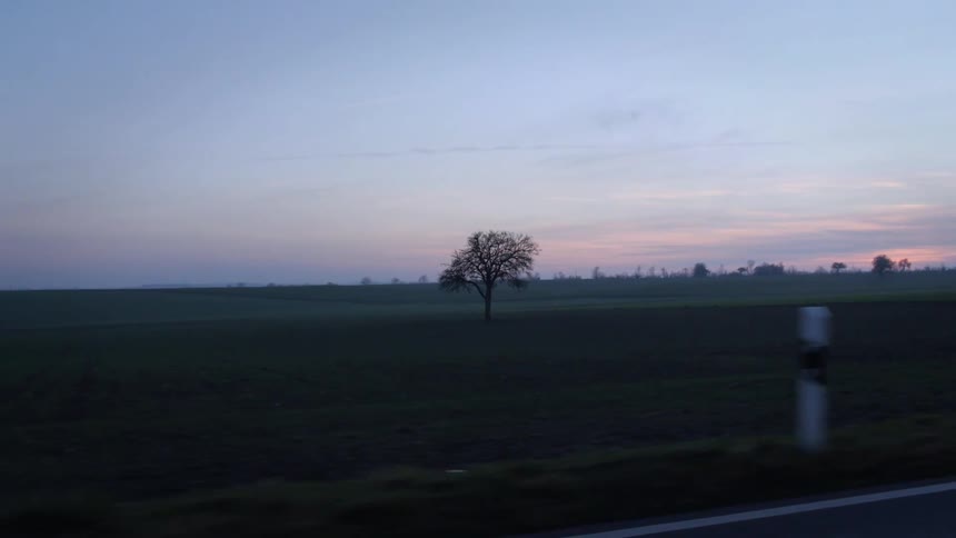 The sun is rising over the field