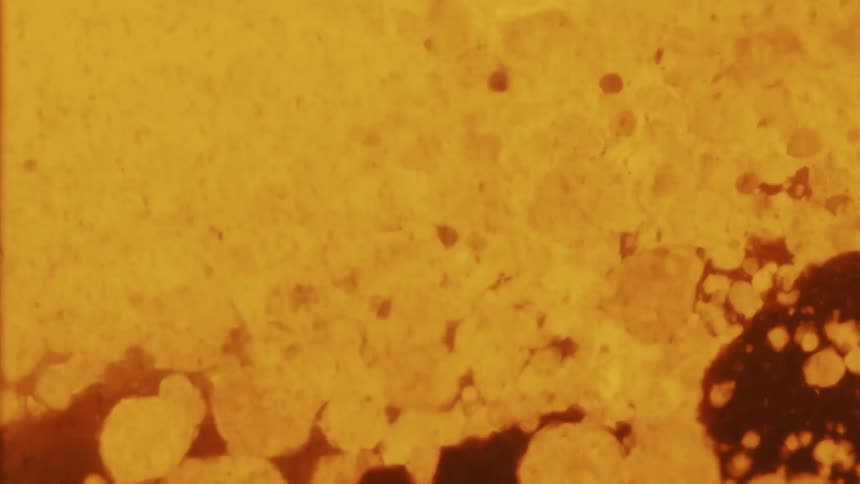 Yellow liquid substance boiling and forming small droplets