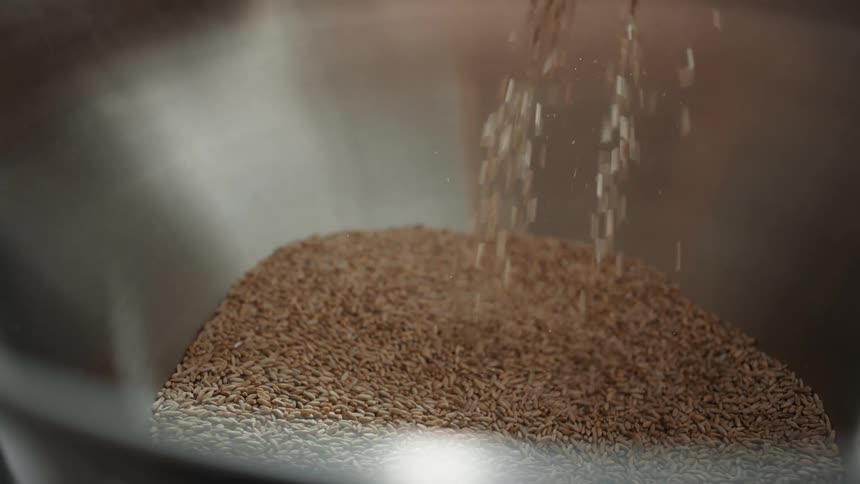 A man lift grains from a large metal bowl with one hand before letting them slip through his fingers