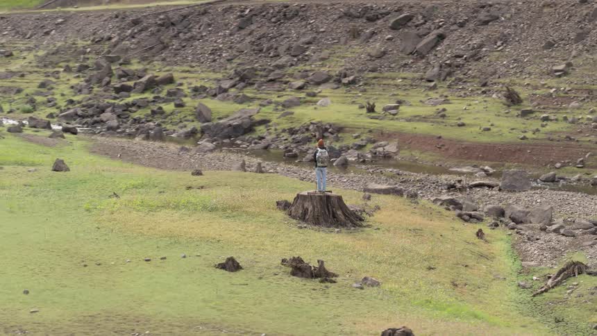 A man stands on top of a large tree stump looking towards a river and a hillside