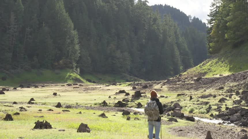 A hiker stands on a tree stump as he takes in the view