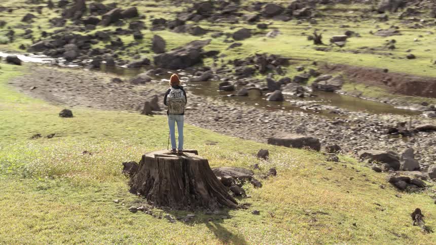 A teenager stands on a large tree trunk and looks at a river