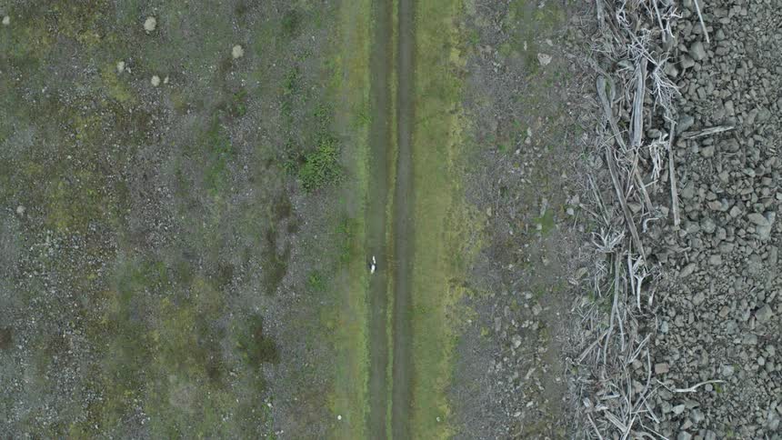 A person runs on a dirt track past rock and rubble and downed trees