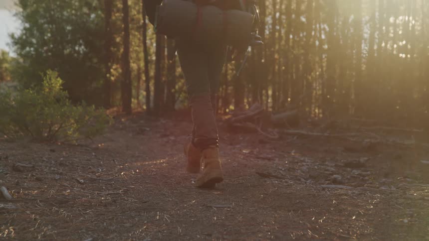 Hiker walks on a trail near the forest