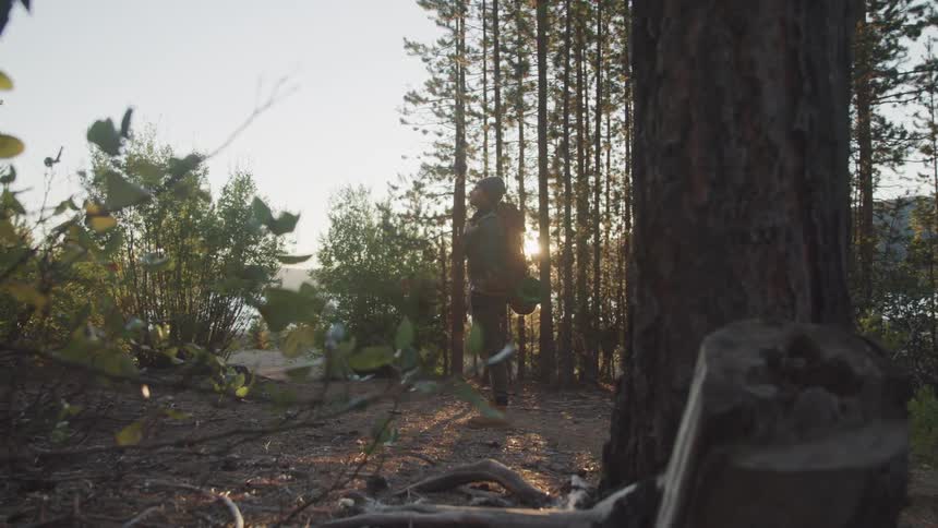 Hiker standing in the middle of a forest looking up to the sky