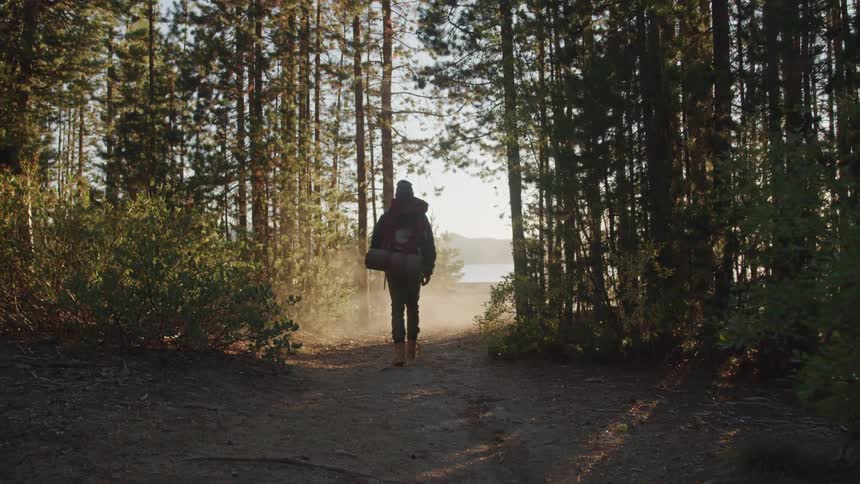 Hiker walks on a trail in the forest under the bright sun